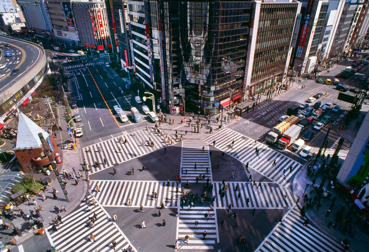 Ginza Professional - Art Haus and Co 