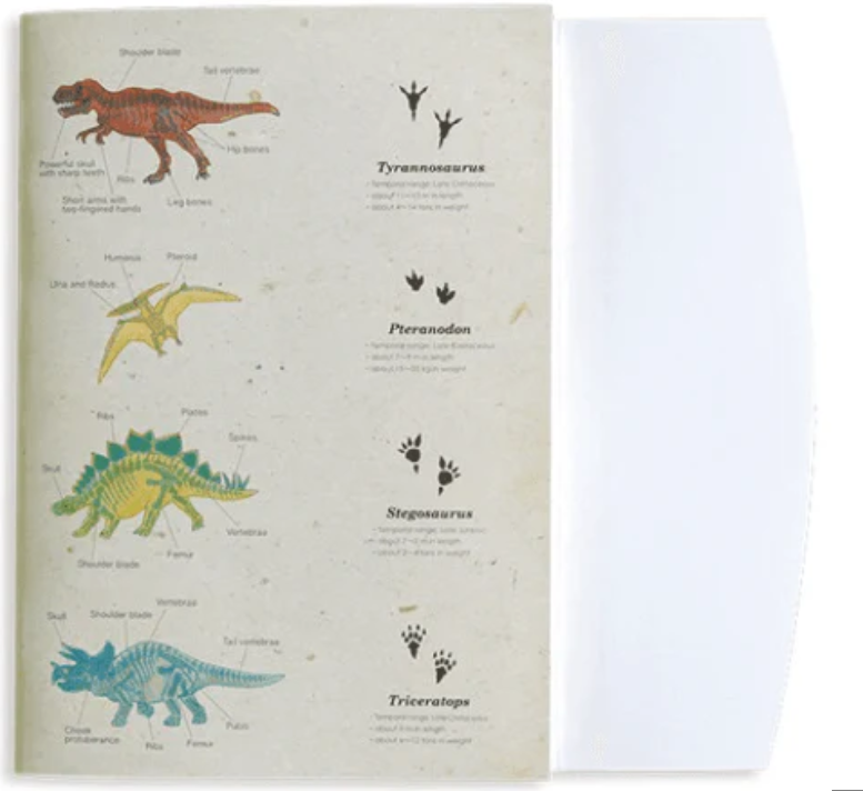 Green Flash Notebook A5