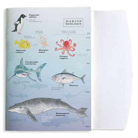 Green Flash Notebook A5