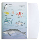 Green Flash Notebook A5