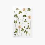 Appree Press Flower Stickers