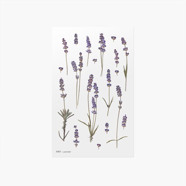 Appree Press Flower Stickers