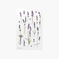 Appree Press Flower Stickers