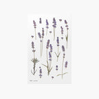 Appree Press Flower Stickers