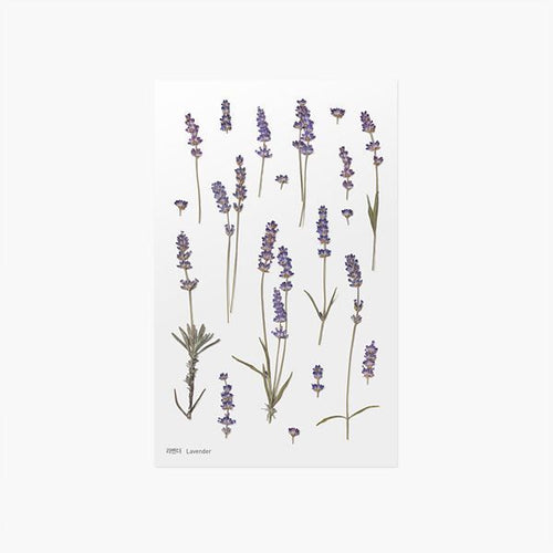 Appree Pressed Flower Stickers - Art Haus and Co