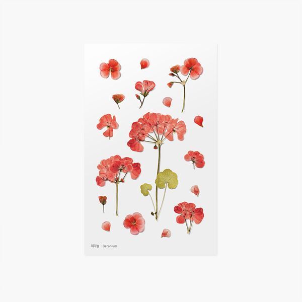 Appree Pressed Flower Stickers