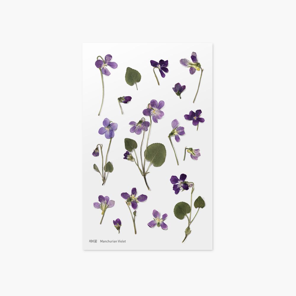 Appree Pressed Flower Stickers