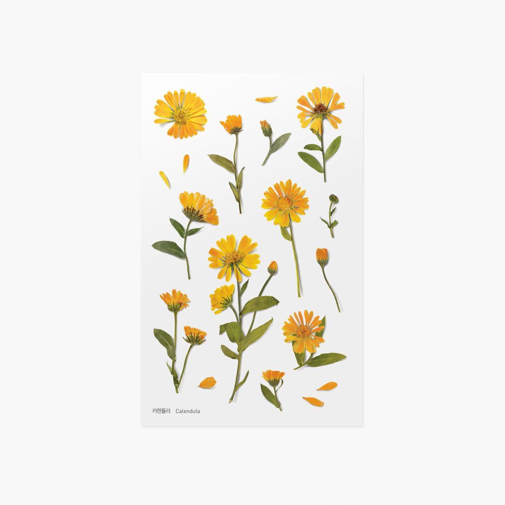Appree Pressed Flower Stickers