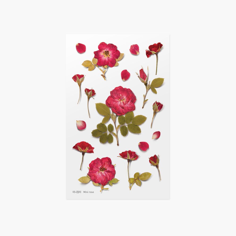Appree Pressed Flower Stickers