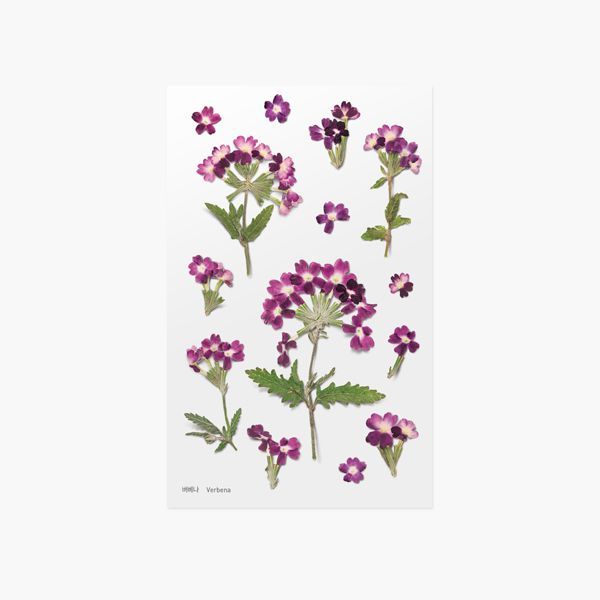 Appree Pressed Flower Stickers