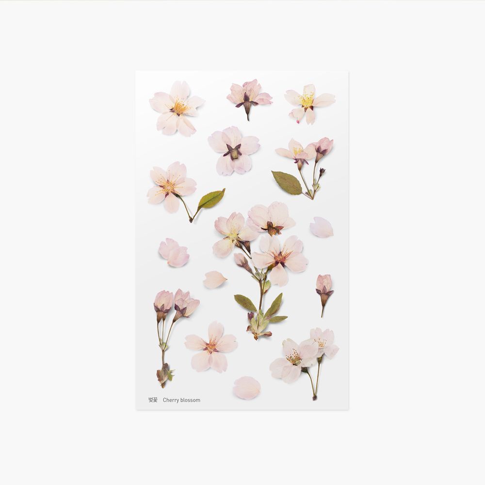 Appree Pressed Flower Stickers