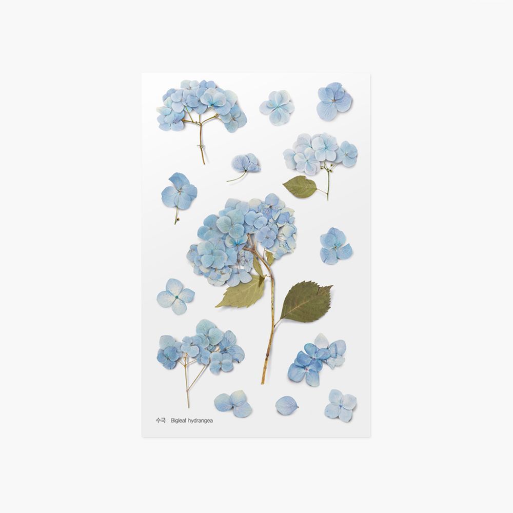 Appree Pressed Flower Stickers