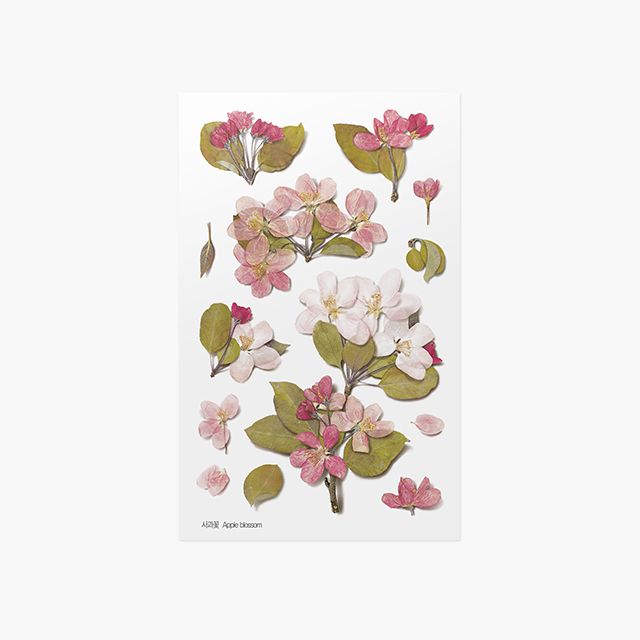 Appree Pressed Flower Stickers