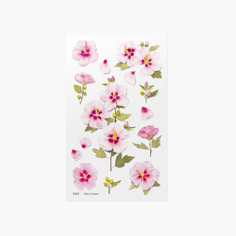 Appree Pressed Flower Stickers