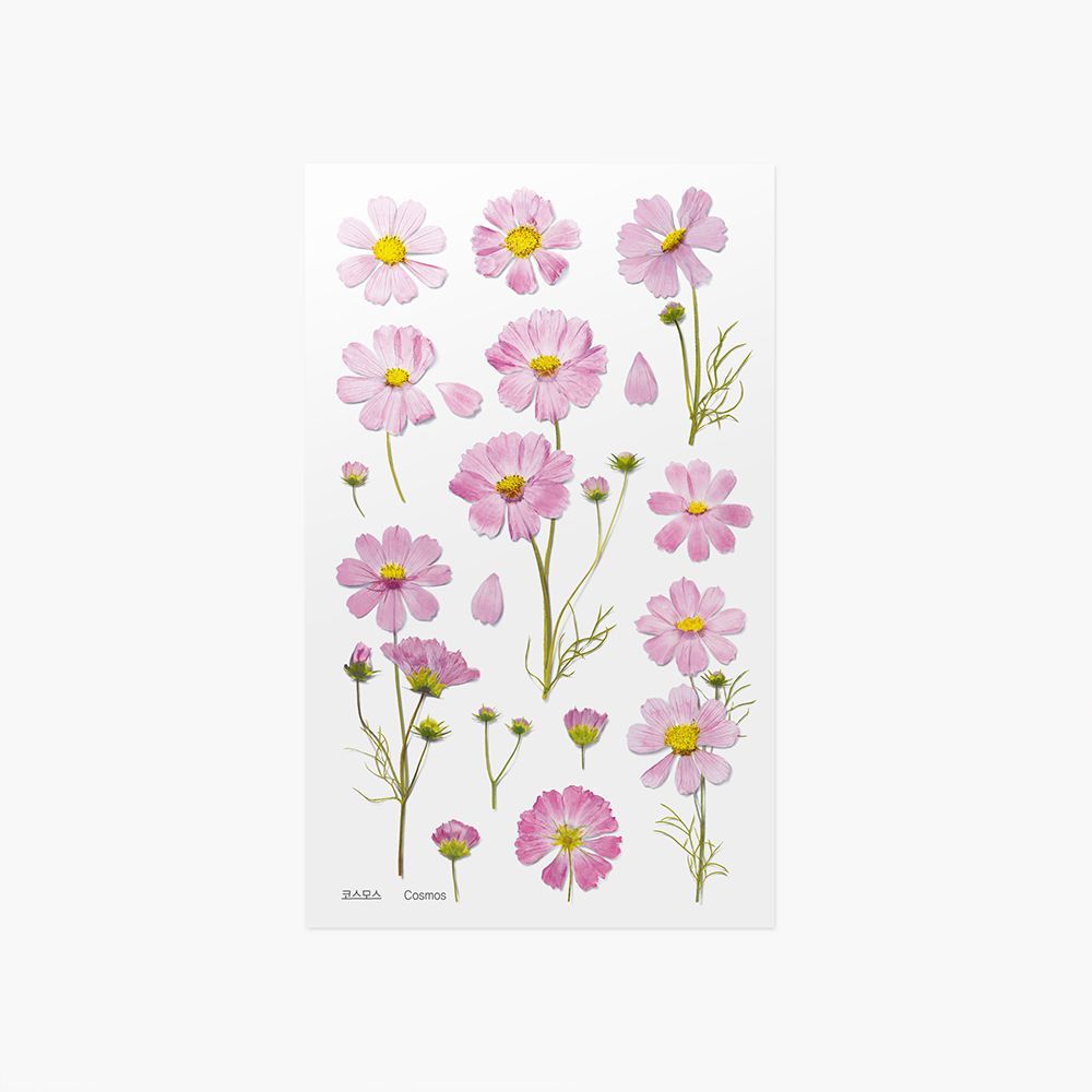 Appree Pressed Flower Stickers
