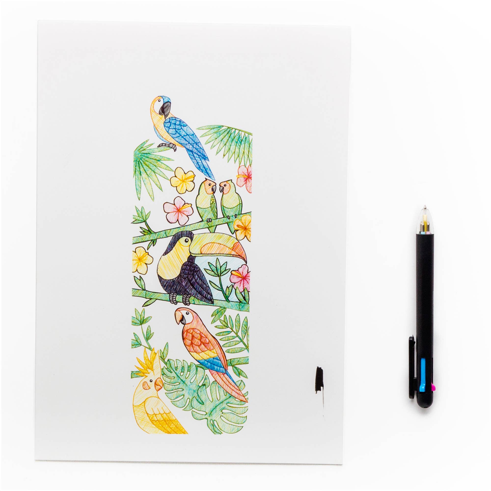 CMYK Pen - Sketch in full colour