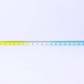 Appree Gradient Ruler - Art Haus and Co