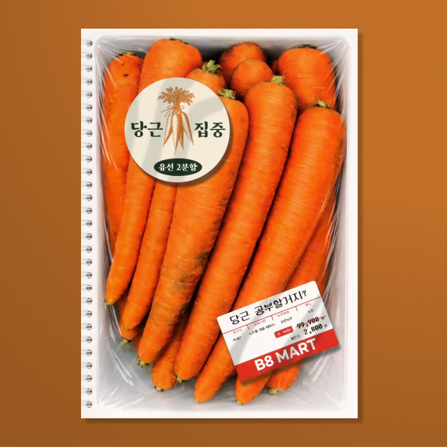 Mart Spring Notebooks - B5