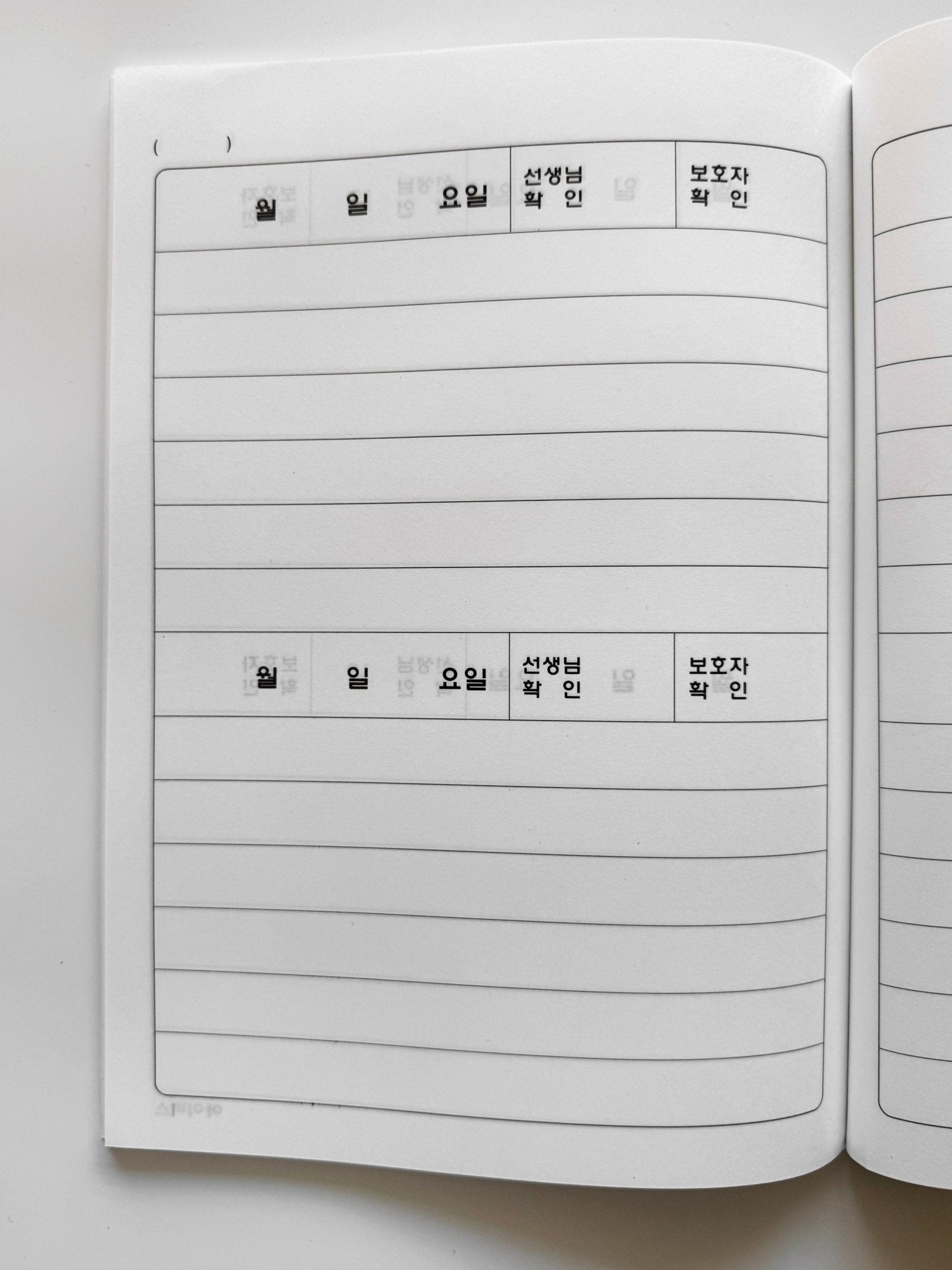 Ibis School Notices Notebook - Art Haus and Co