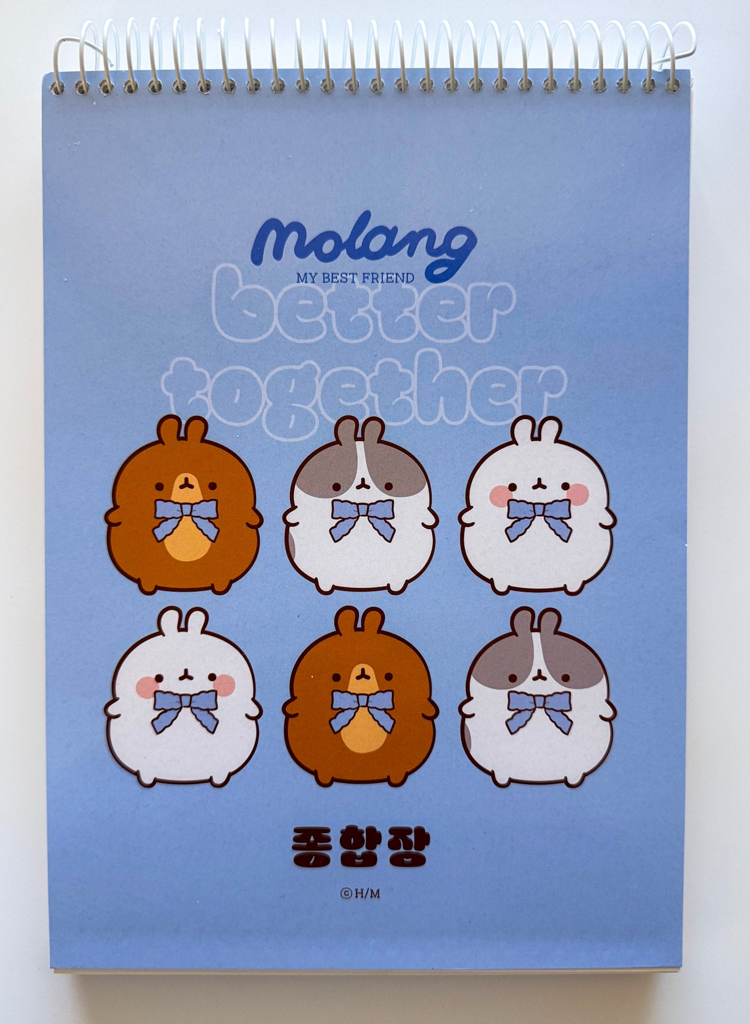 Molang Blank Sketch Notebook (100 Sheets) - Art Haus and Co