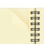 Delfonics Rollbahn "American Sweets" Large Notebook – 5.5" x 7" Grid Paper