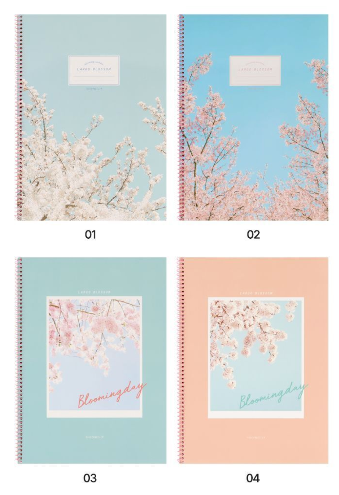 Ssueim & Cclim Spring Notebook