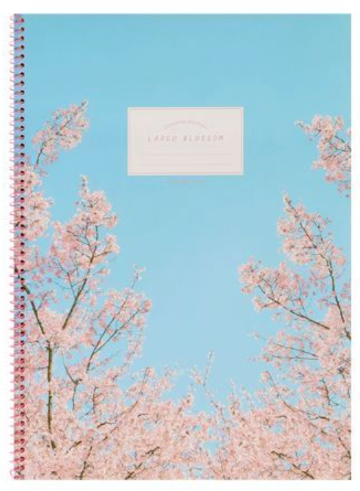 Ssueim & Cclim Spring Notebook