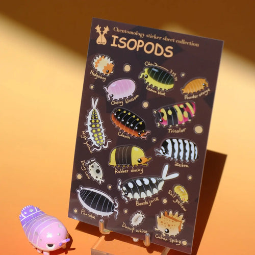 Chentomology Transparent Insect Sticker Sheet (4"x6") - Art Haus and Co