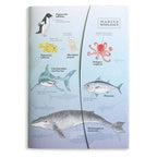Green Flash Notebook A5